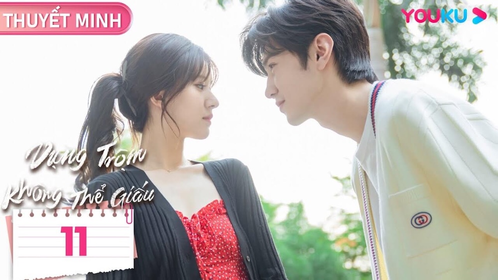 Hidden Love Chinese Drama (2023): Everything You Need to Know 10 Hidden Love's popularity in Vietnam